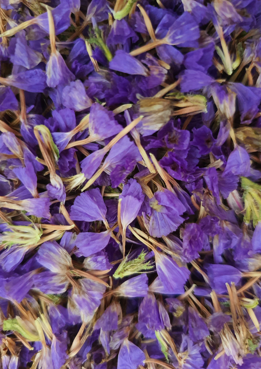 Violet statice