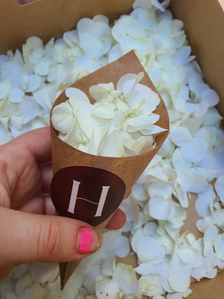 Fresh Hydrangea Confetti - White