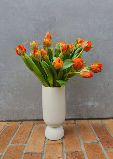 Fresh Tulip bundles - Wrapped - Orange