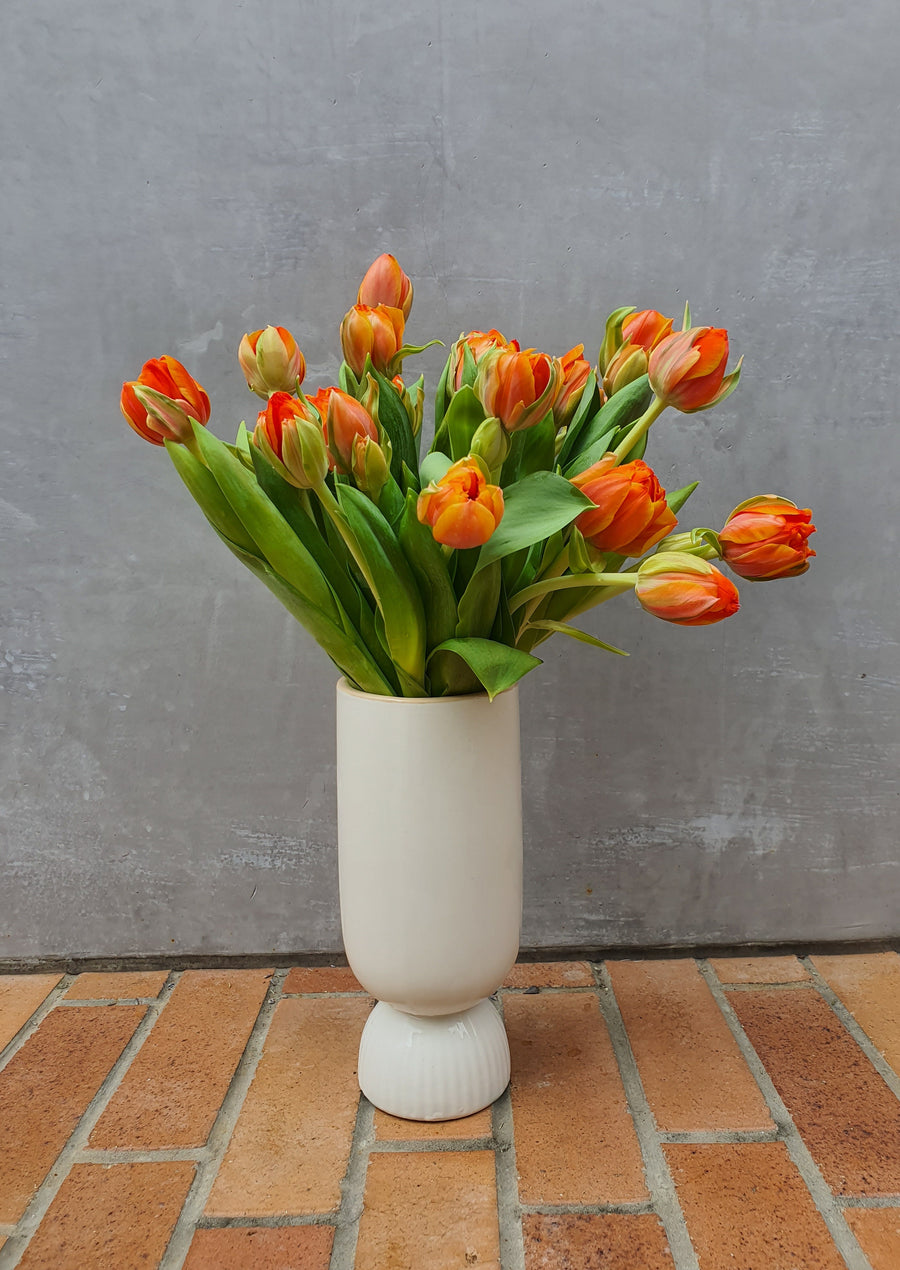 Fresh Tulip bundles - Wrapped - Orange