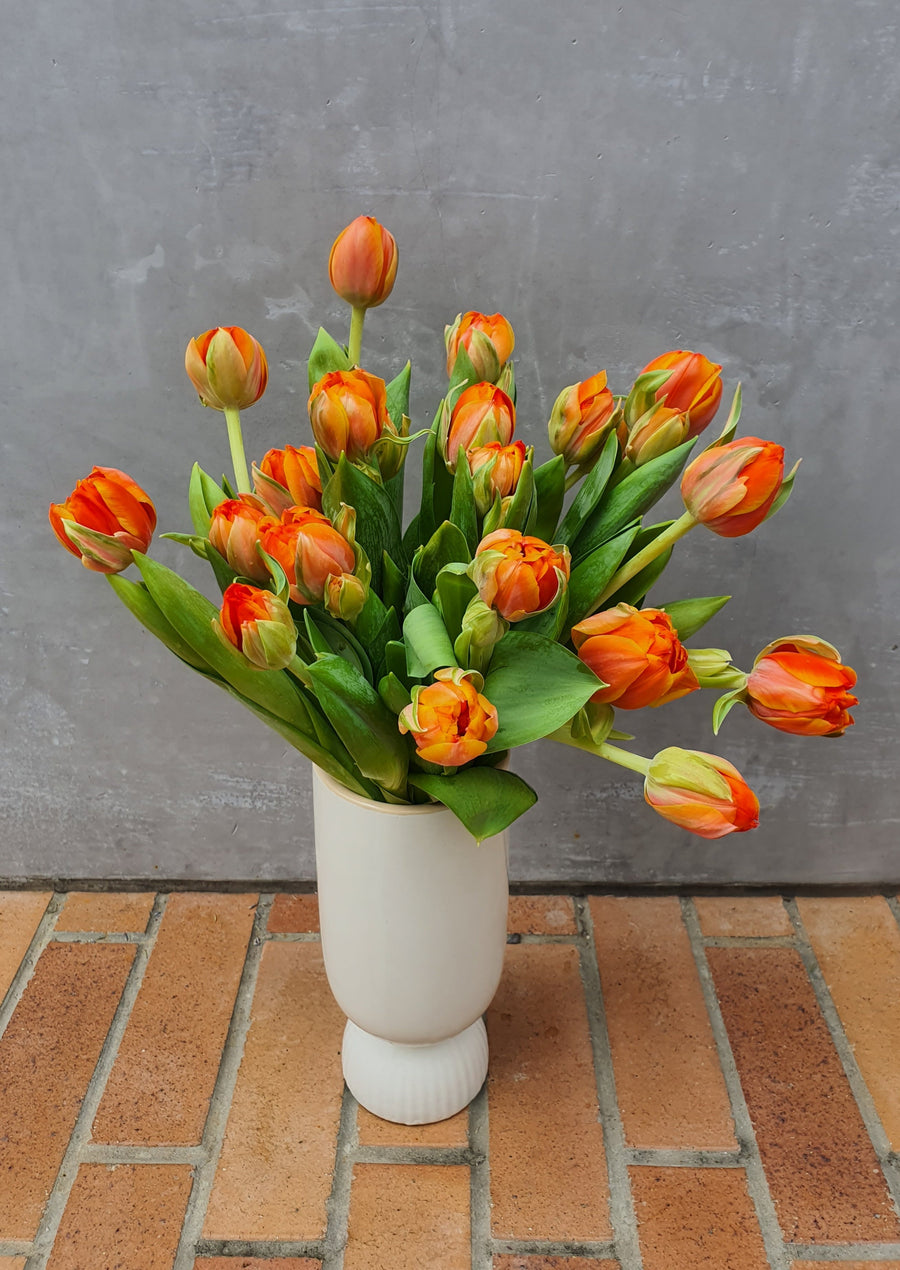 Fresh Tulip bundles - Wrapped - Orange
