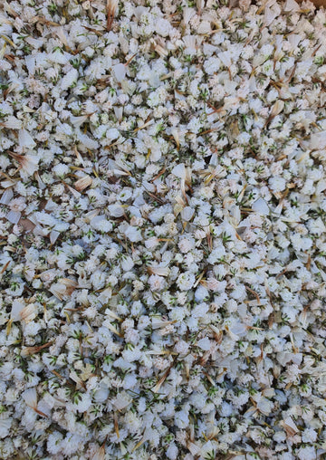 Dry Statice + Baby's Breath Confetti - White