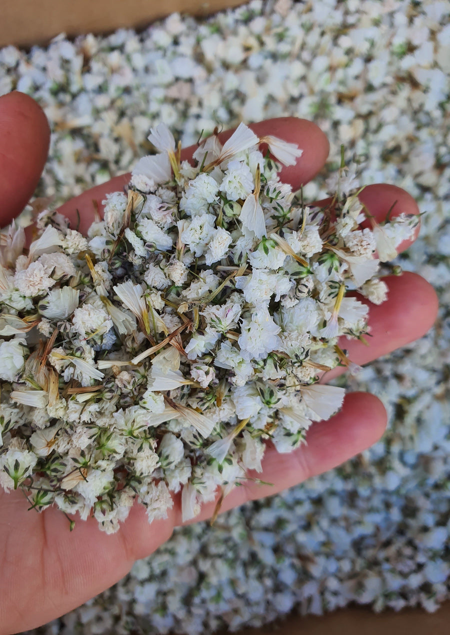 Dry Statice + Baby's Breath Confetti - White