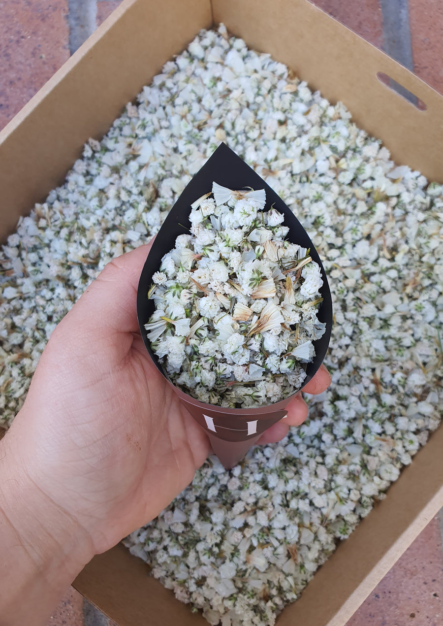 Dry Statice + Baby's Breath Confetti - White