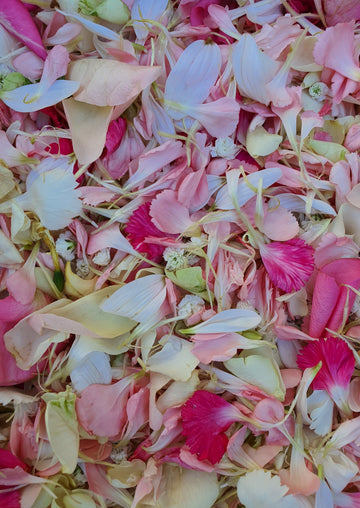 Fresh Mixed Flower Petal Confetti