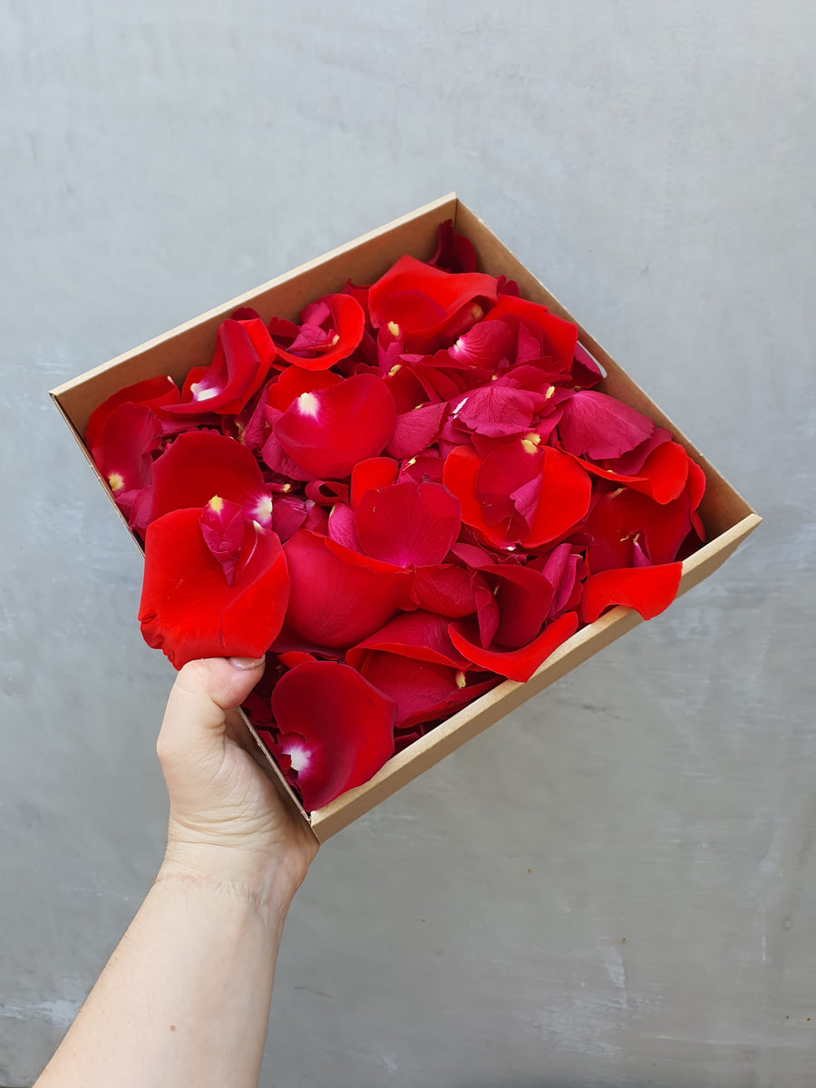 Valentines Day Rose Petal Scatter - Fresh Rose Petals - RED