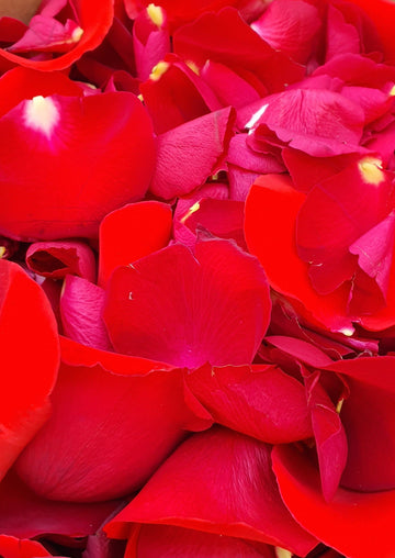 Valentines Day Rose Petal Scatter - Fresh Rose Petals - RED