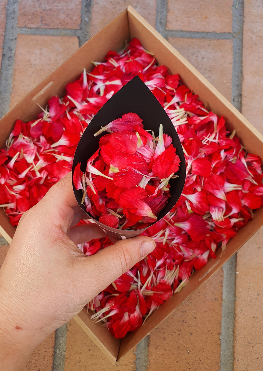 Fresh Carnation Petal Confetti