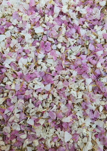 Natural Rose Confetti Wedding Dried Flower Petals Pop Biodegradable For  Wedding
