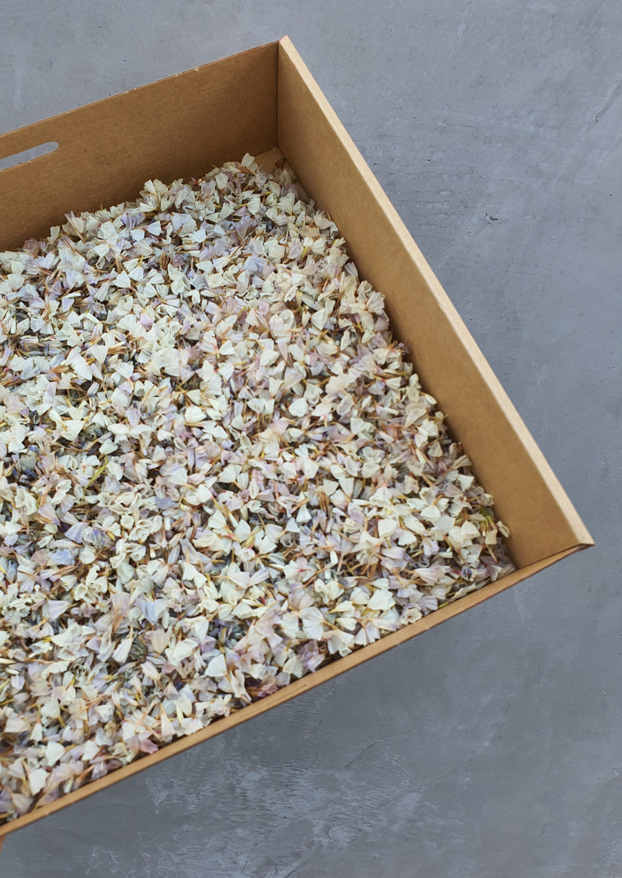 Dry Statice Confetti - Lavender