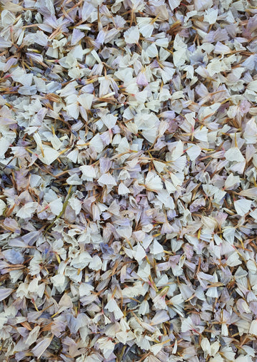 Dry Statice Confetti - Lavender