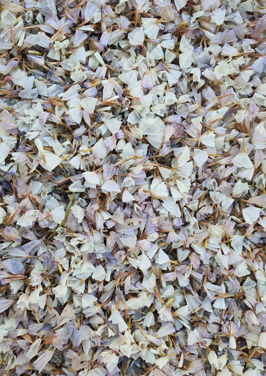 Dry Statice Confetti - Lavender