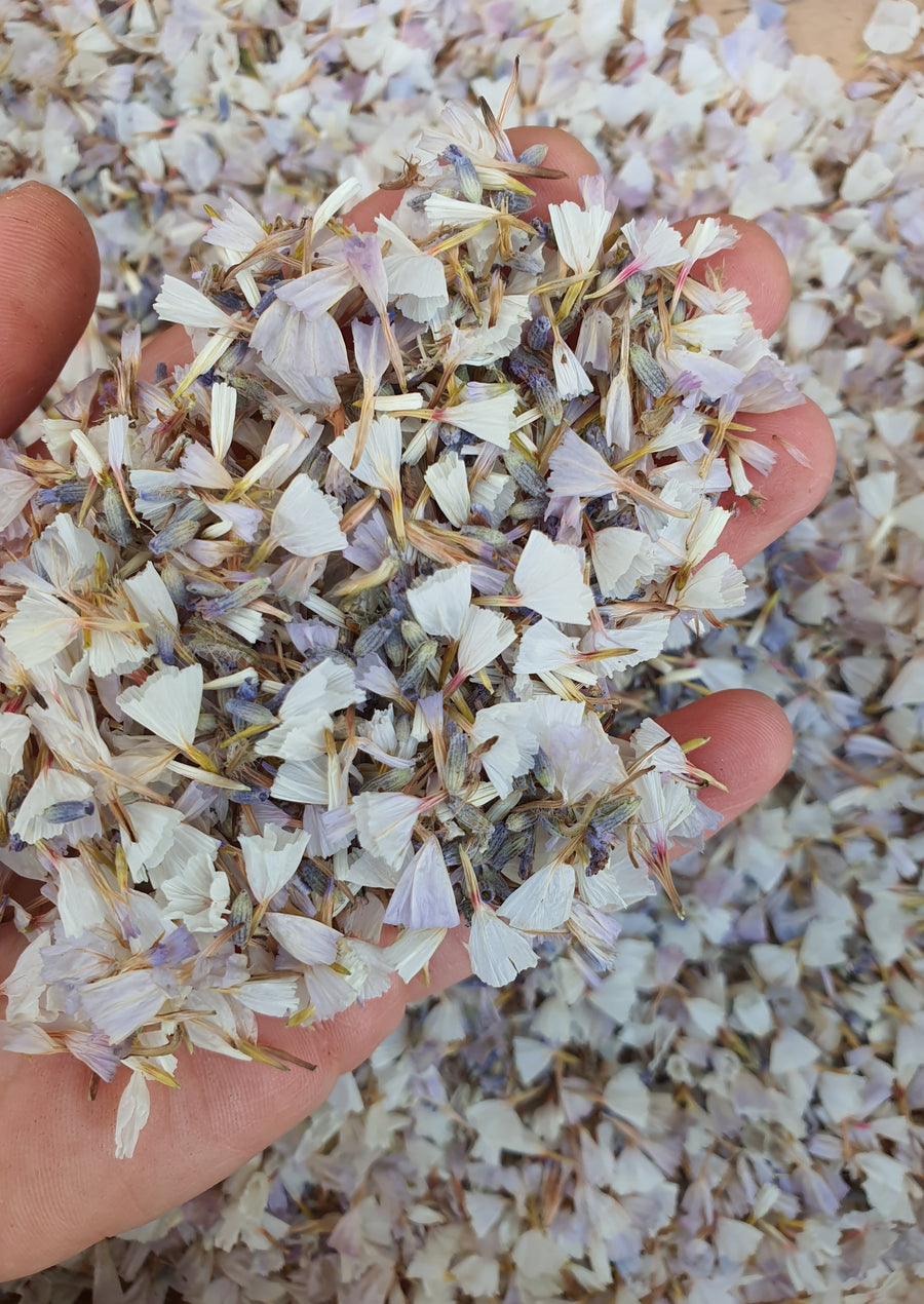Dry Statice Confetti - Lavender