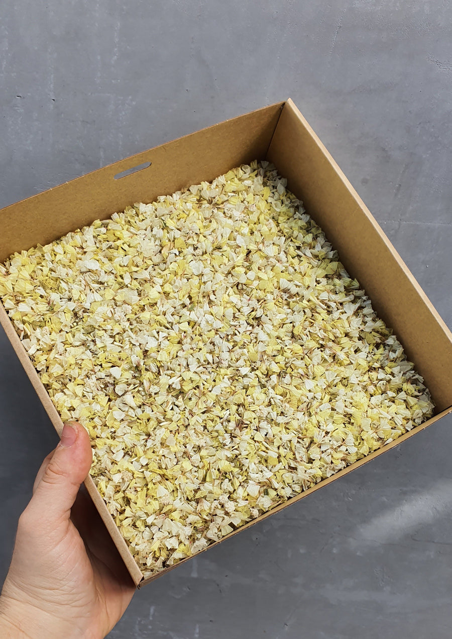 Dry Statice Confetti - Yellow