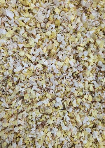 Dry Statice Confetti - Yellow
