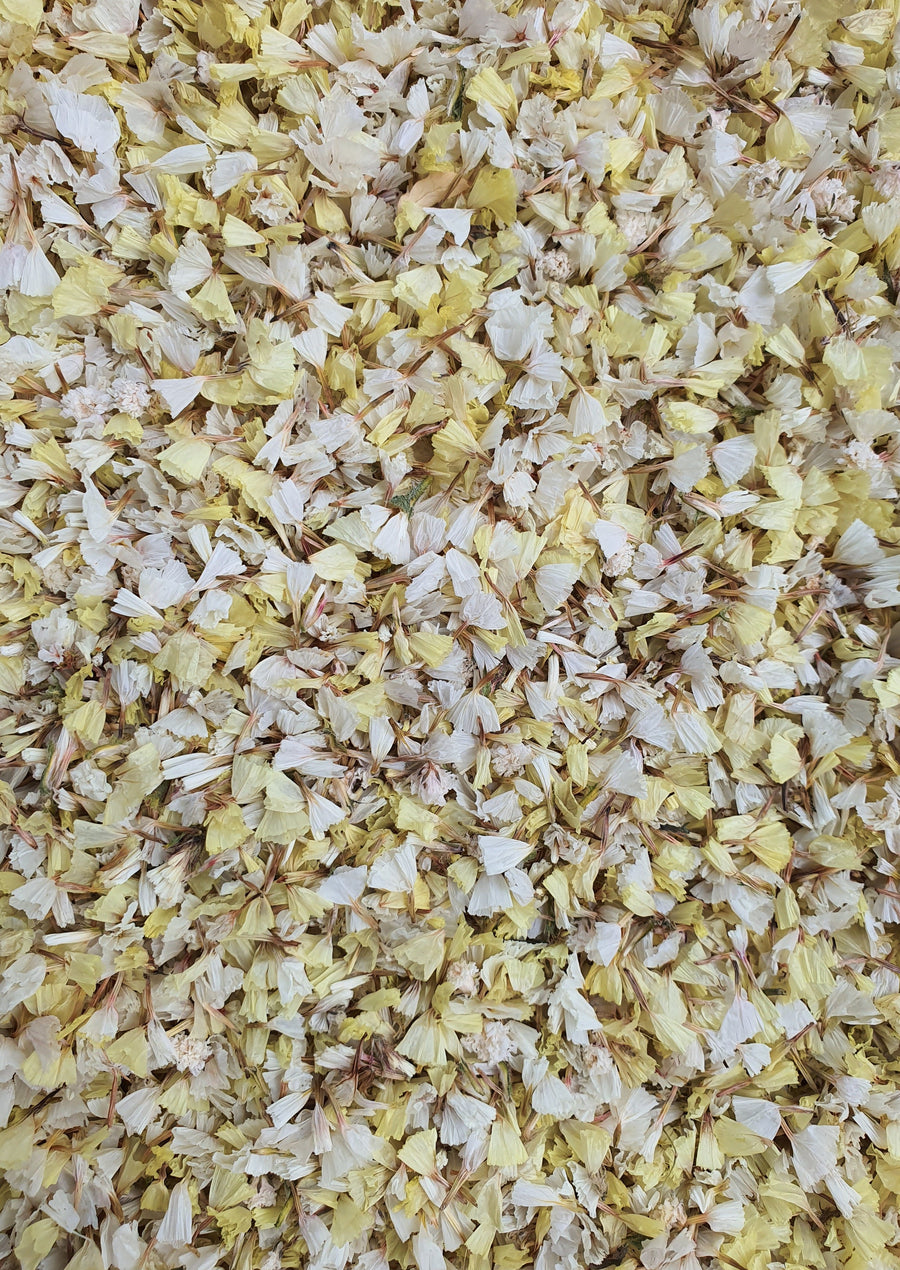 Dry Statice Confetti - Yellow