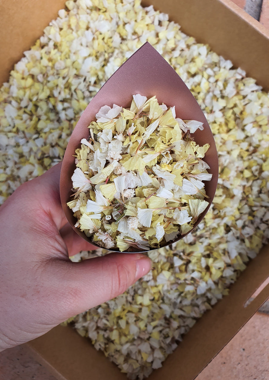Dry Statice Confetti - Yellow