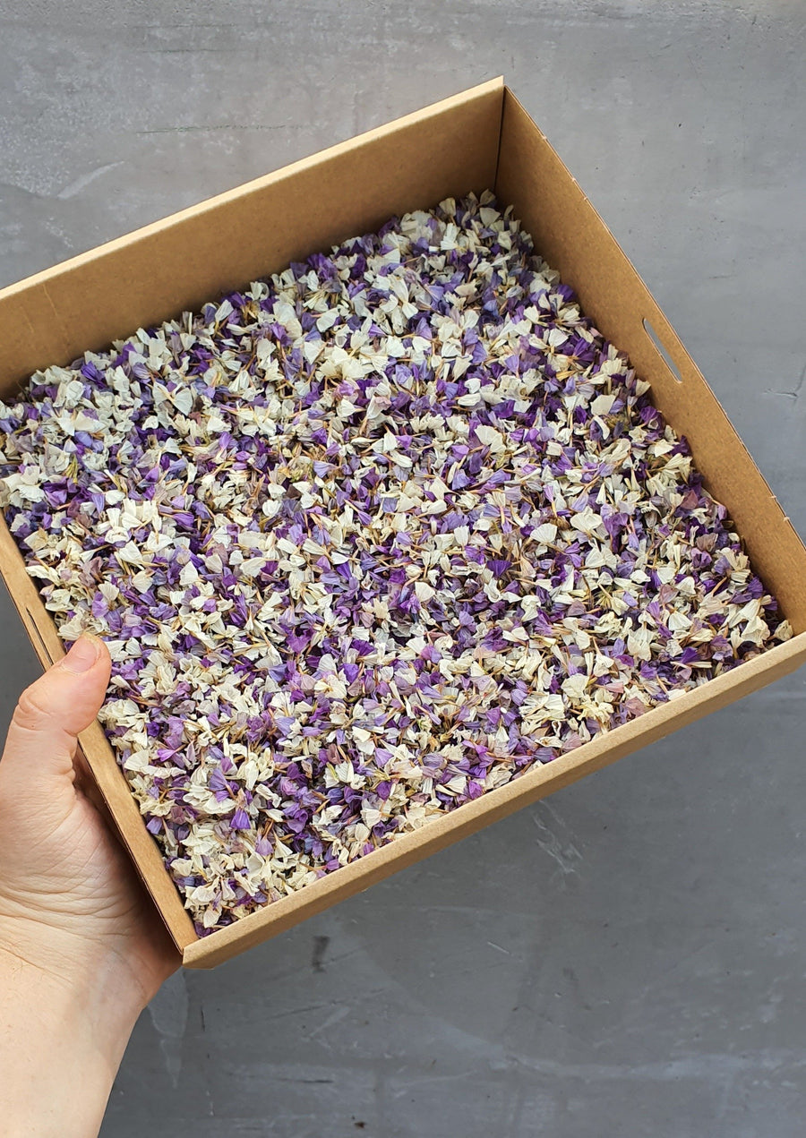 Dry Statice Confetti - Purple