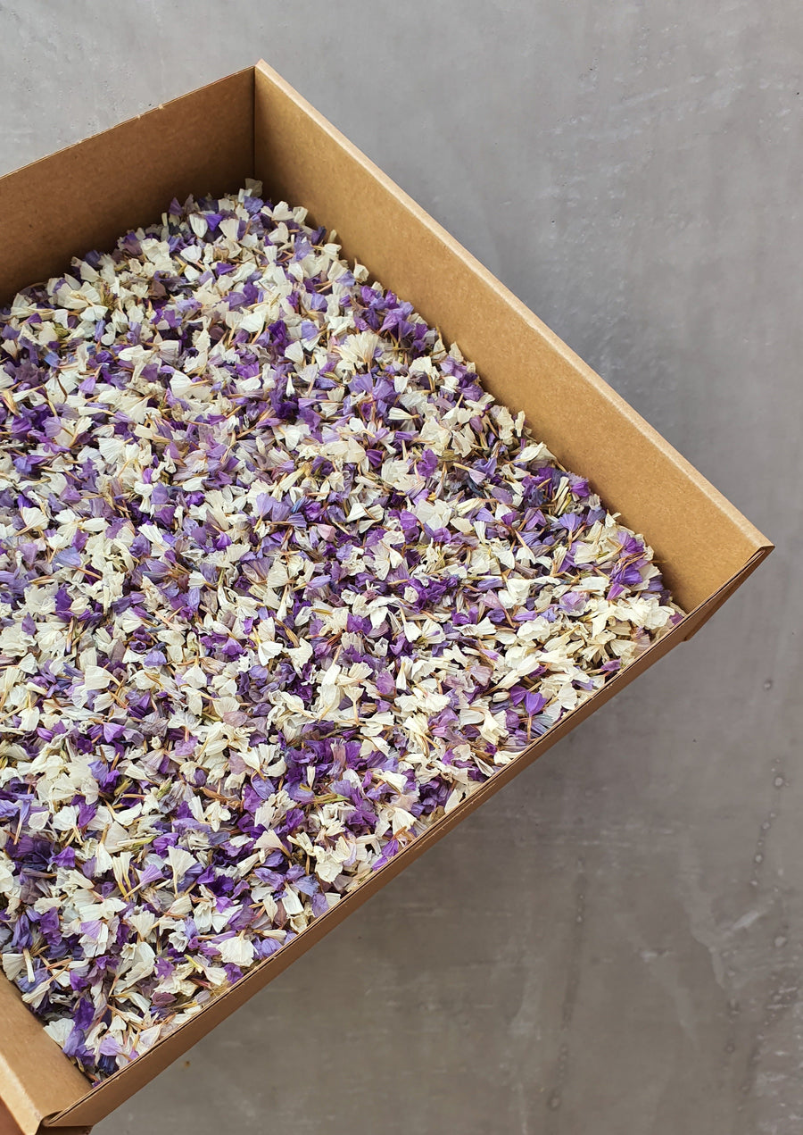 Dry Statice Confetti - Purple