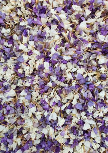 Dry Statice Confetti - Purple