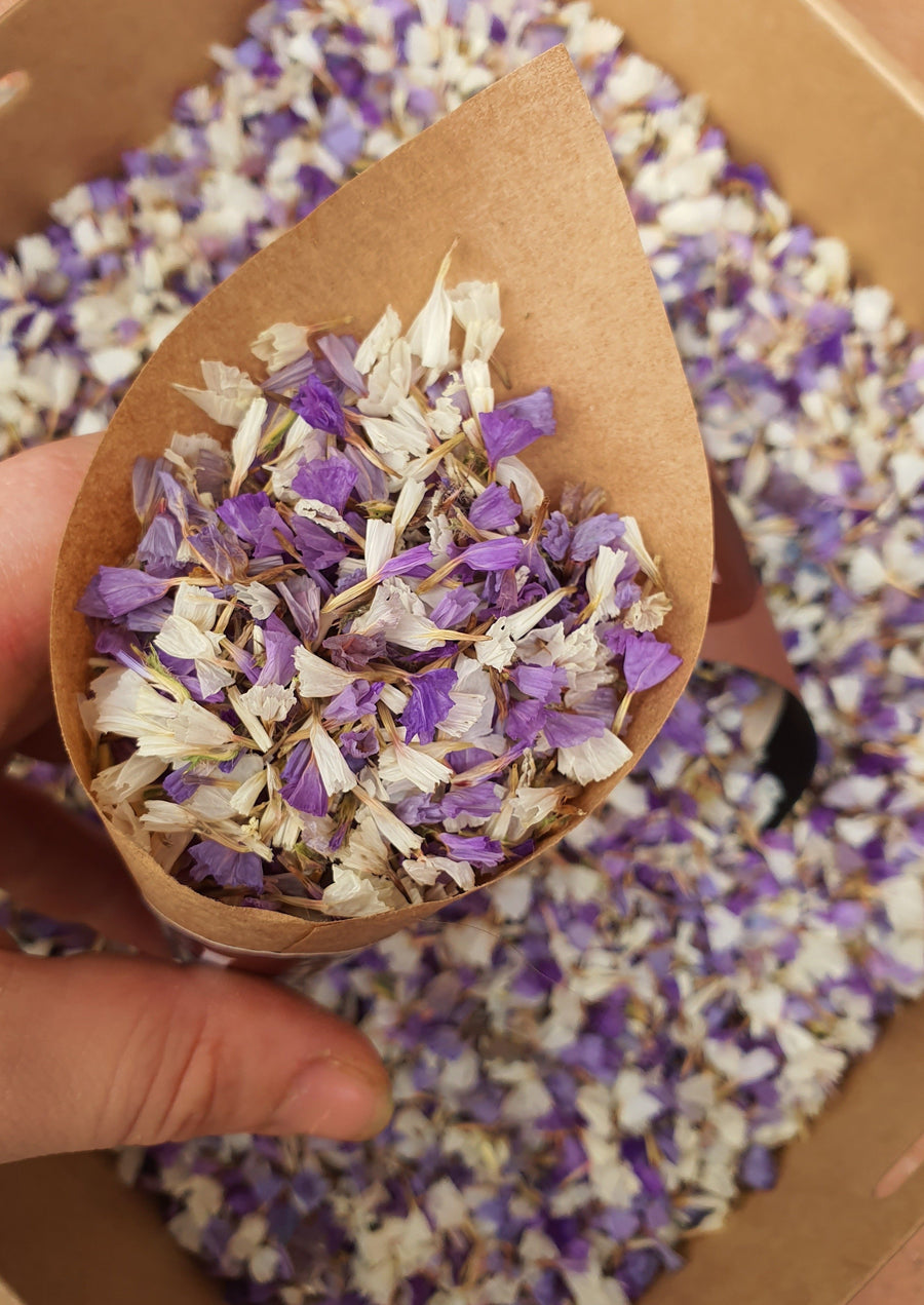 Dry Statice Confetti - Purple