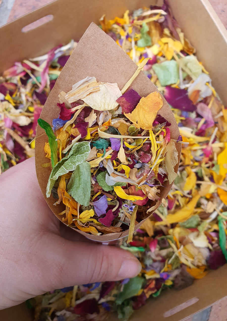 Dry Mixed Flower Confetti - Colourful