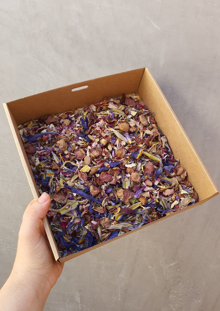 Dry Mixed Flower Confetti - Purple Meadow