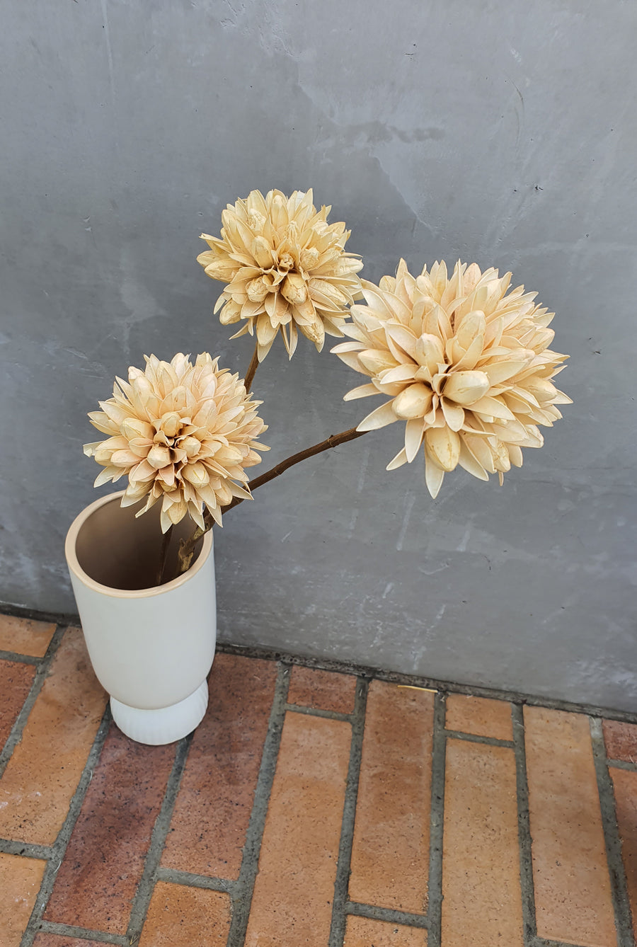 Dried Natural Magnolia Flower - off white