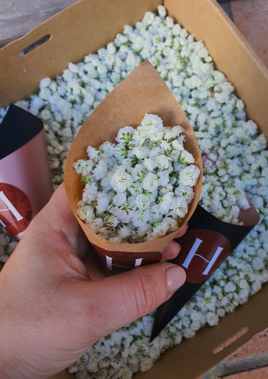 Fresh Baby's Breath Confetti