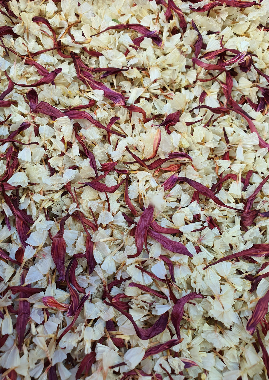 Dry Chrysanthemum Confetti - Burgundy