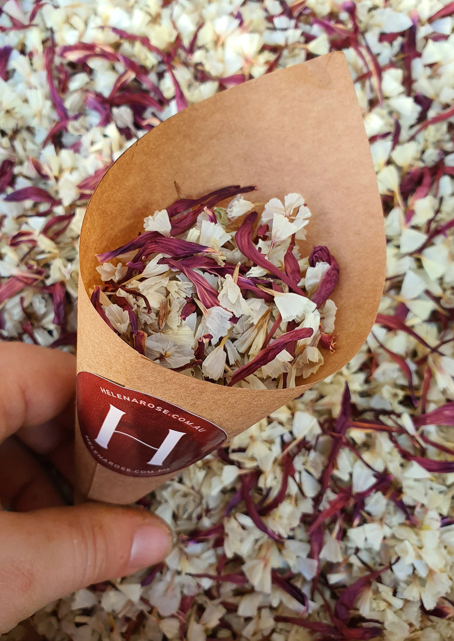 Dry Chrysanthemum Confetti - Burgundy