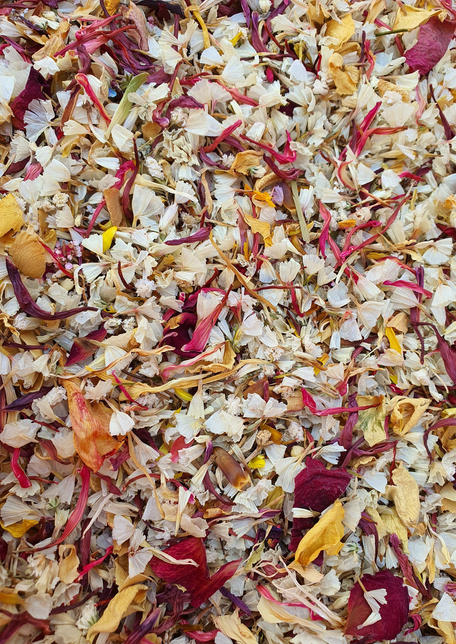 Dry Chrysanthemum Confetti - Sunset Mix