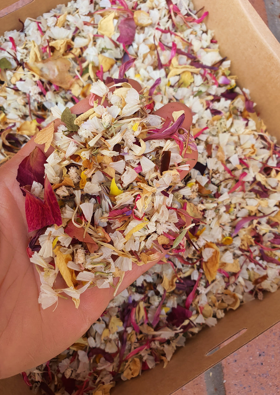 Dry Chrysanthemum Confetti - Sunset Mix