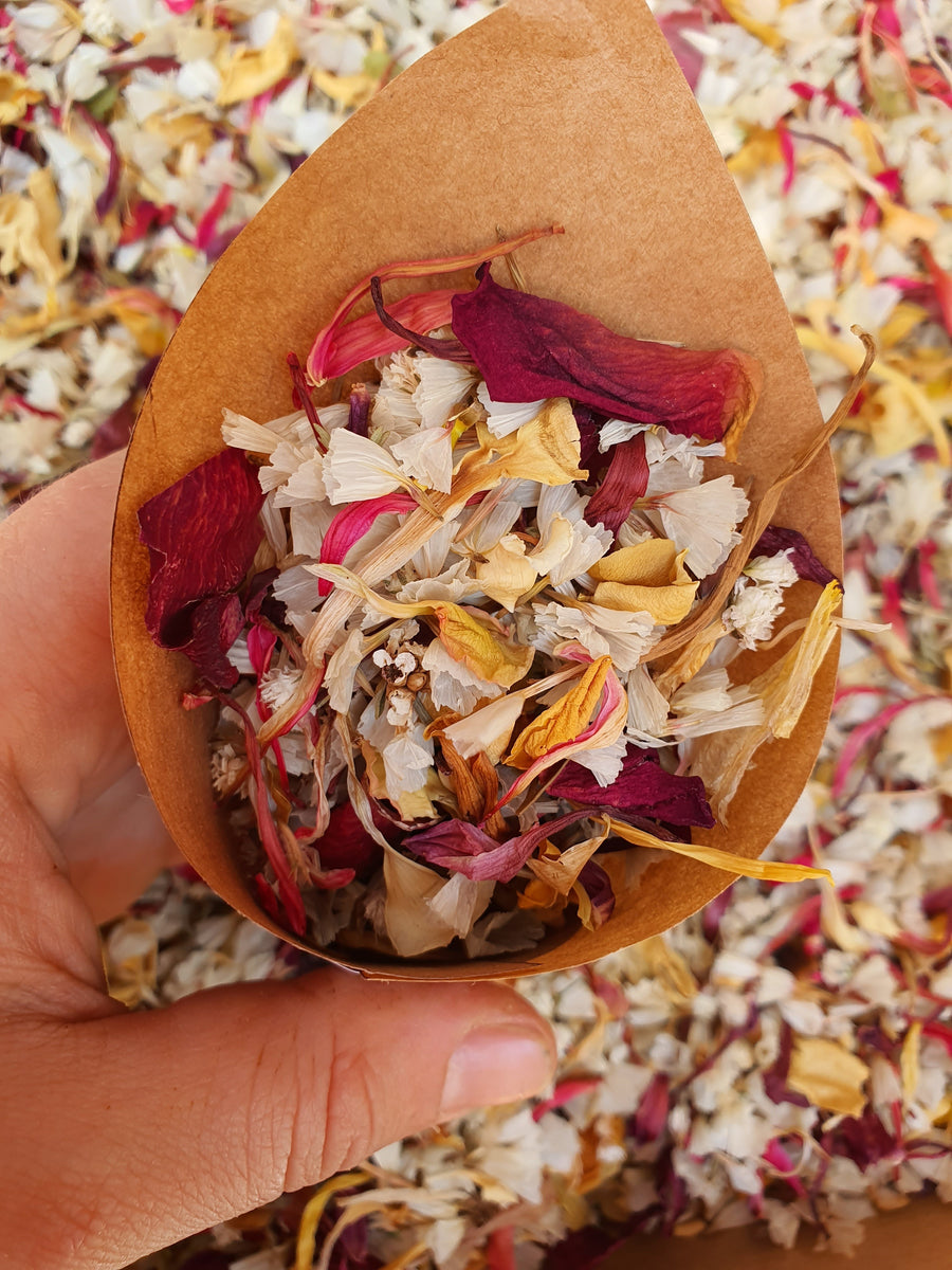 Dry Chrysanthemum Confetti - Sunset Mix