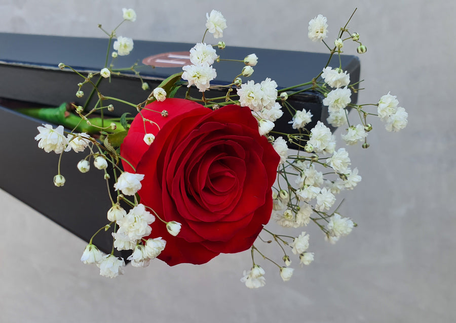 Single Rose in Box