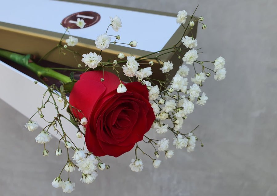 Single Rose in Box