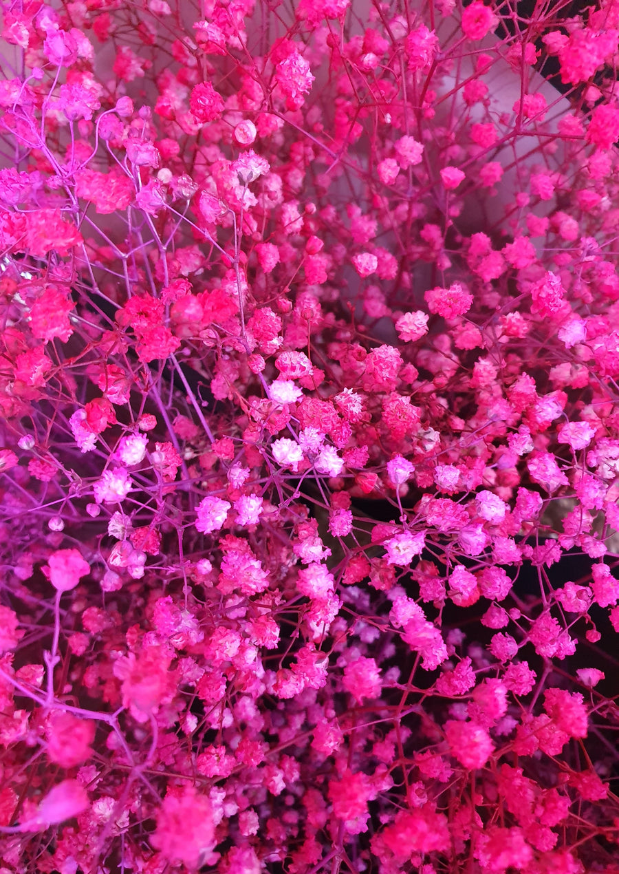Babys Breath Flower Crown - Fresh