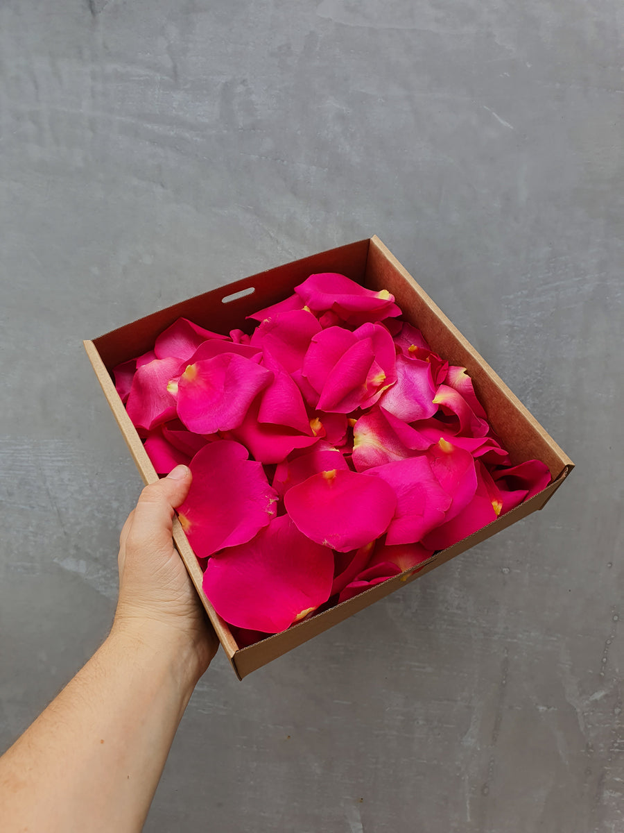 Fresh Rose Petal Confetti