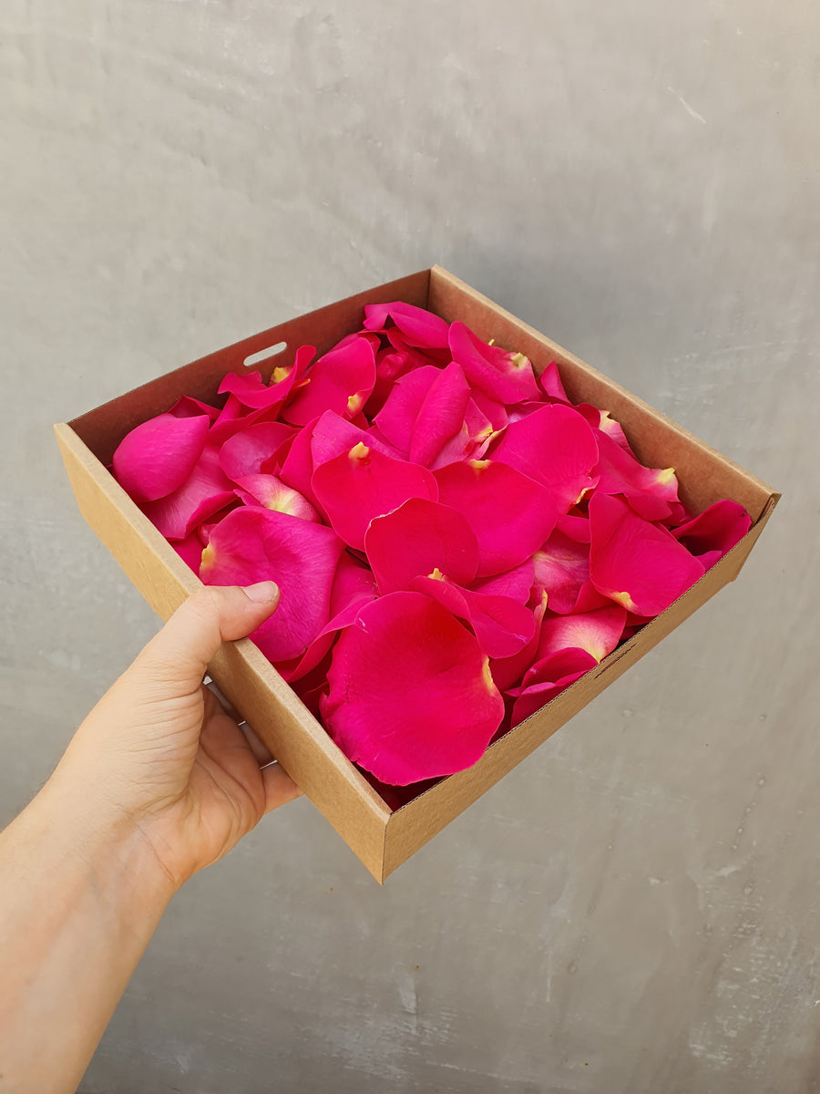 Fresh Rose Petal Confetti