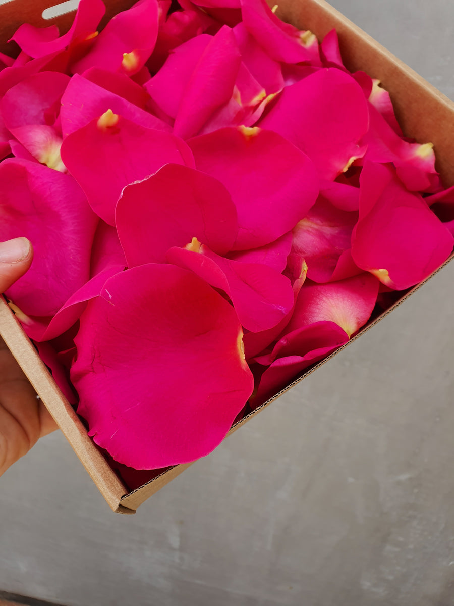 Fresh Rose Petal Confetti