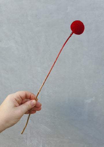 Preserved Billy Buttons - Red