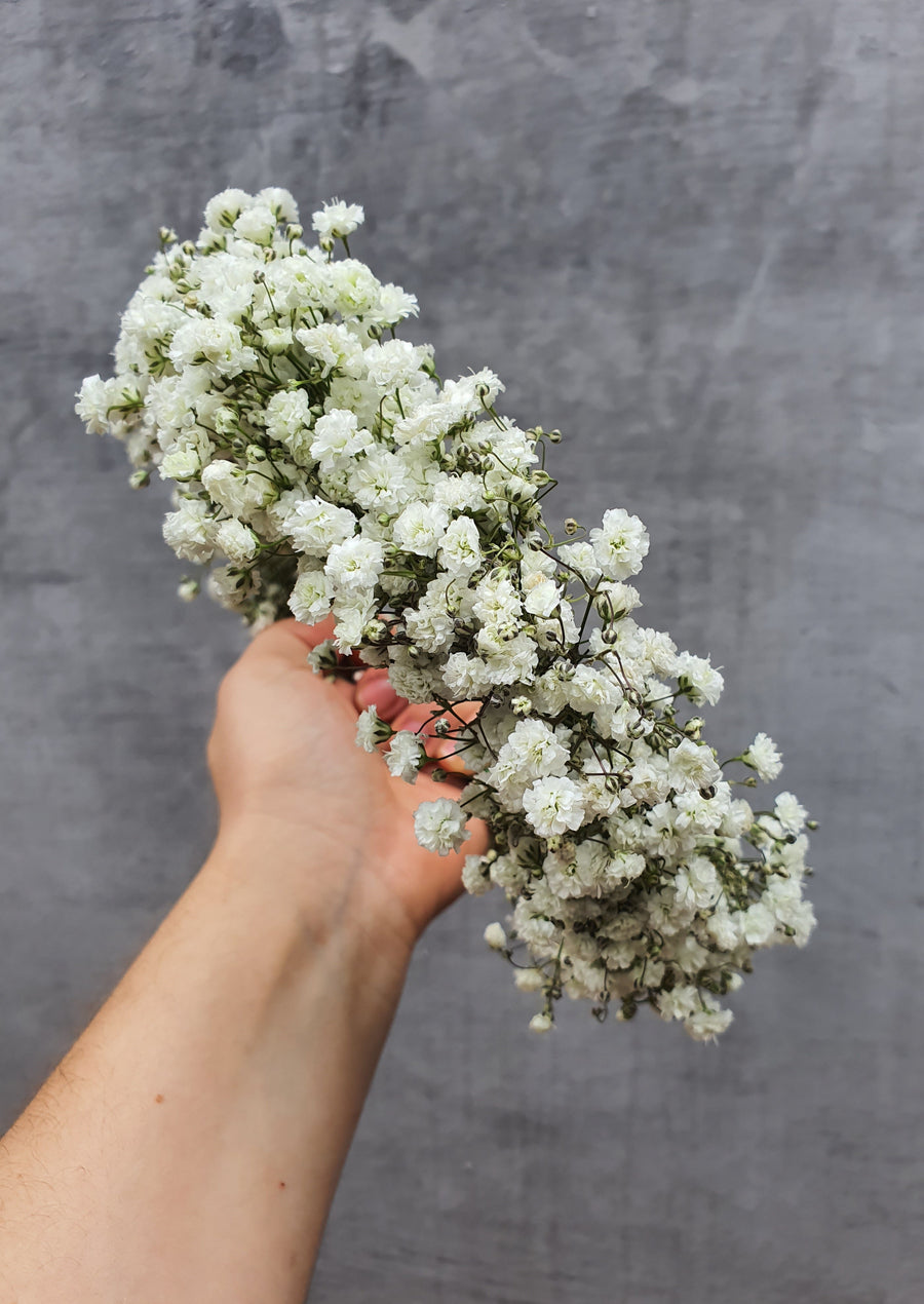 Babys Breath Flower Crown - Fresh