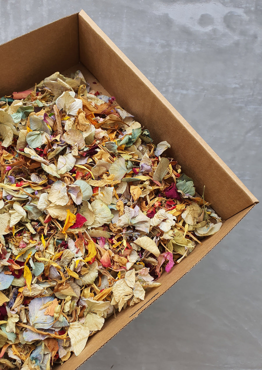 Dry Mixed Flower Confetti - Colourful