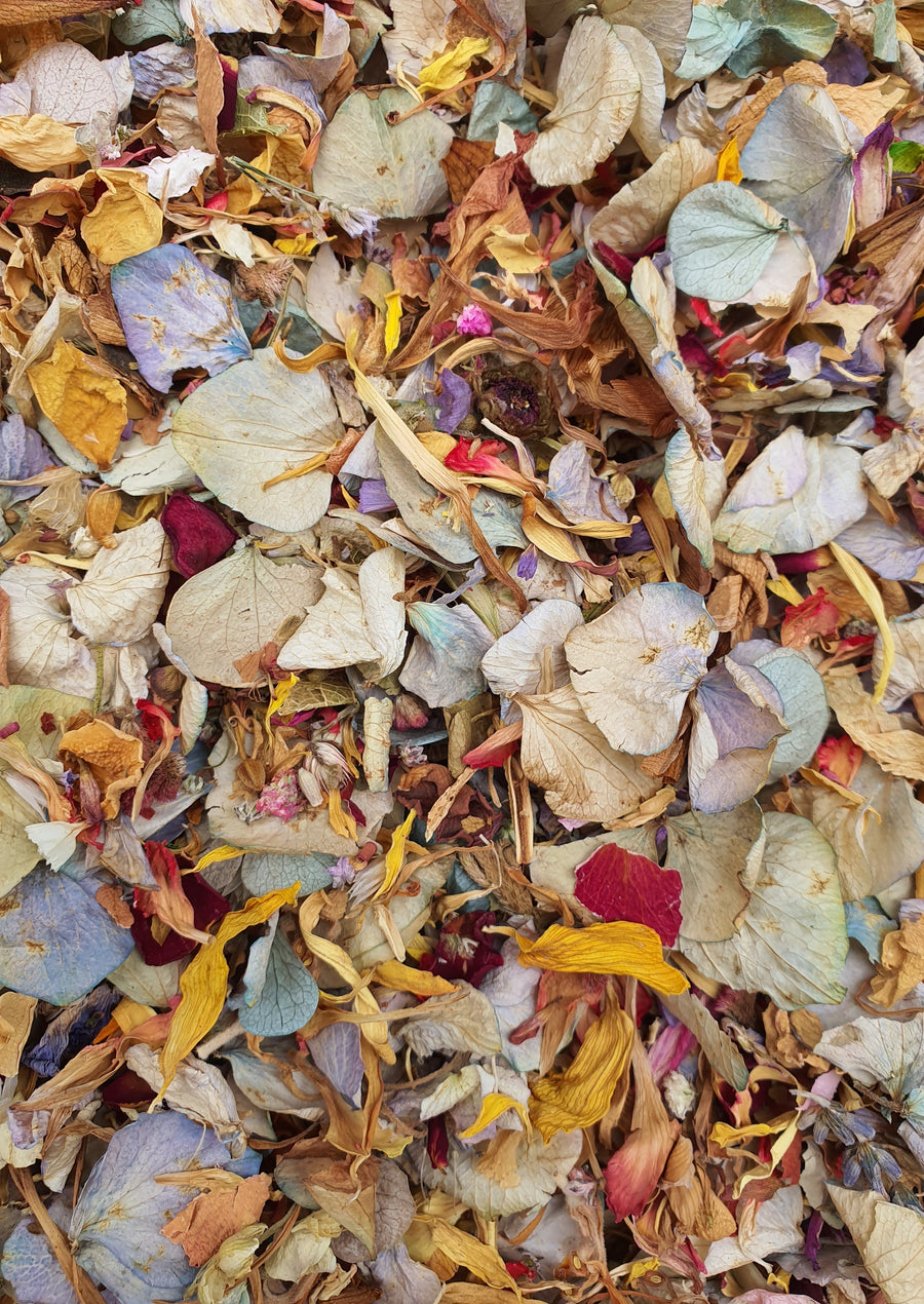 Dry Mixed Flower Confetti - Colourful