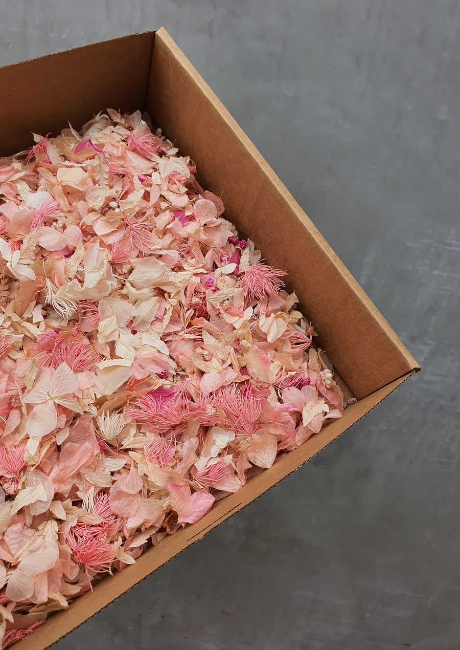 Preserved Floral Confetti - Pink and White Mix