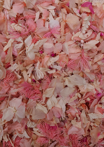 Preserved Floral Confetti - Pink and White Mix