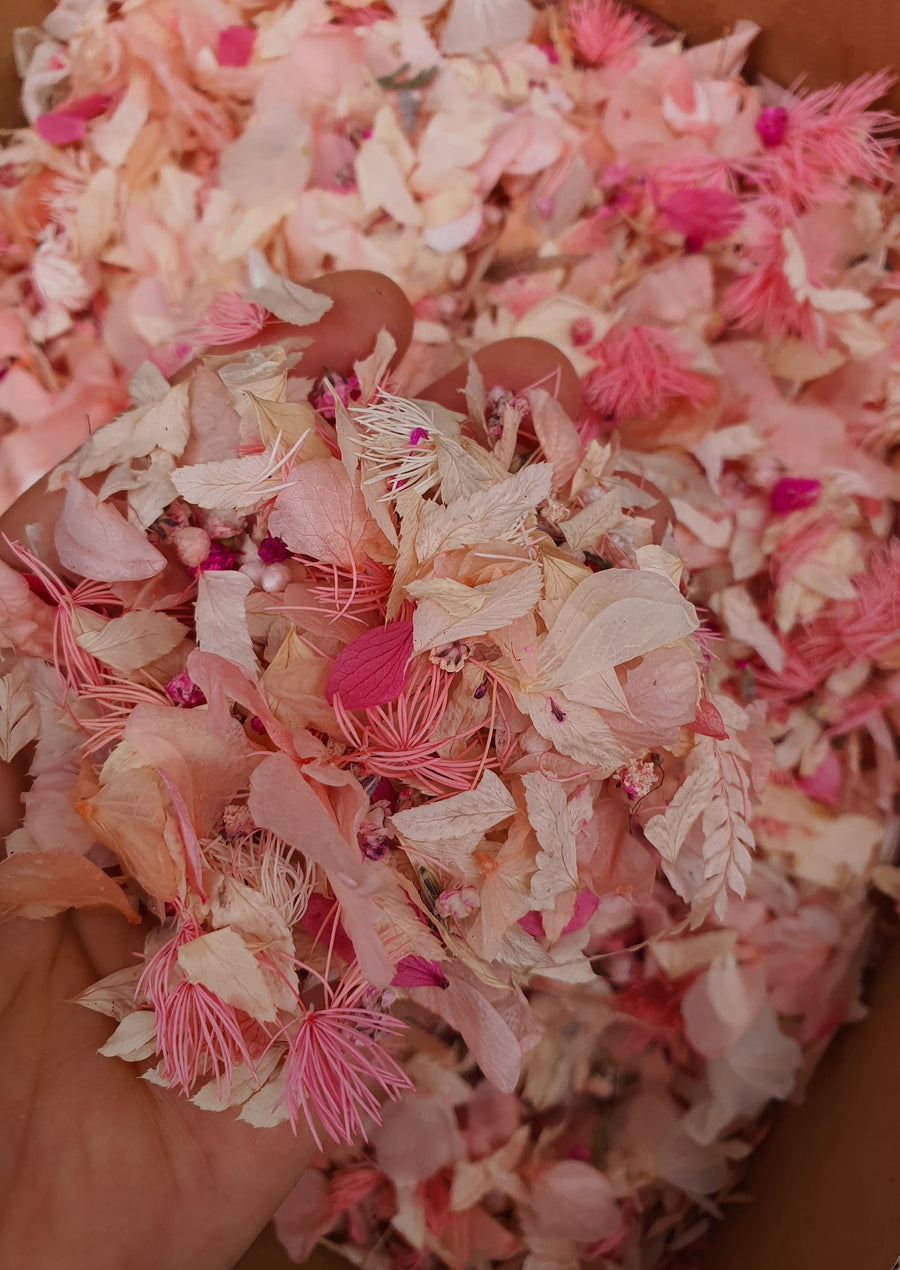 Preserved Floral Confetti - Pink and White Mix