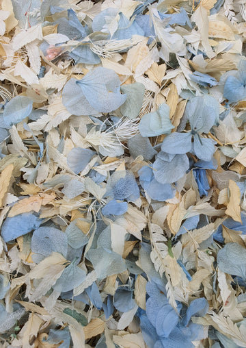 Preserved Floral Confetti - Blue and White Mix
