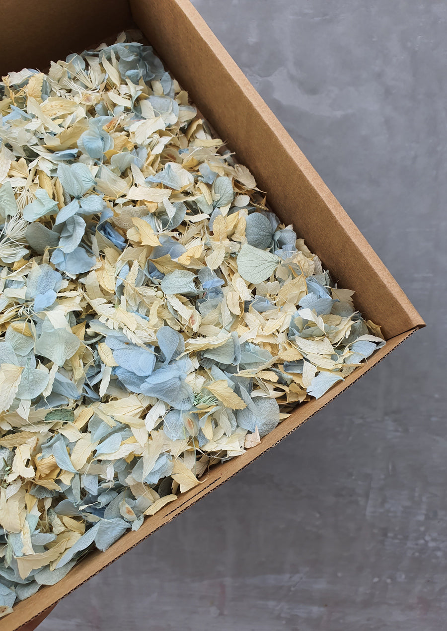 Preserved Floral Confetti - Blue and White Mix