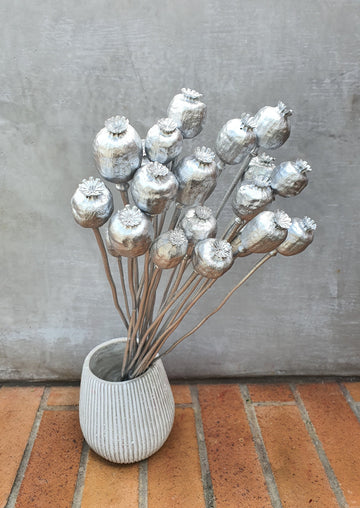 Dry Poppy pods - Metallic Silver - Hand Painted